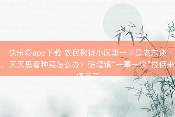 快乐彩app下载 农民聚拢小区里一半是老东谈主,天天思着种菜怎么办?张堰镇“一事一议”技俩来了