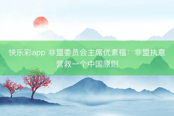 快乐彩app 非盟委员会主席优素福:非盟执意营救一个中国原则