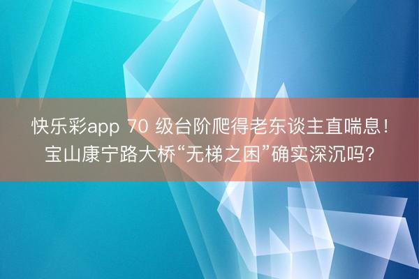 快乐彩app 70 级台阶爬得老东谈主直喘息！宝山康宁路大桥“无梯之困”确实深沉吗？