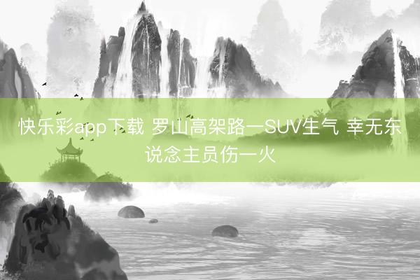 快乐彩app下载 罗山高架路一SUV生气 幸无东说念主员伤一火