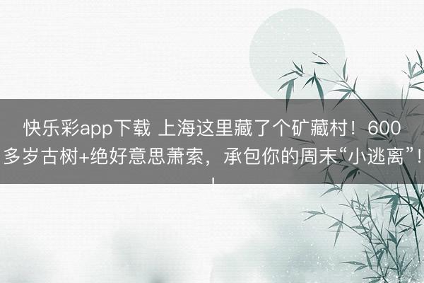 快乐彩app下载 上海这里藏了个矿藏村!600多岁古树+绝好意思萧索,承包你的周末“小逃离”!