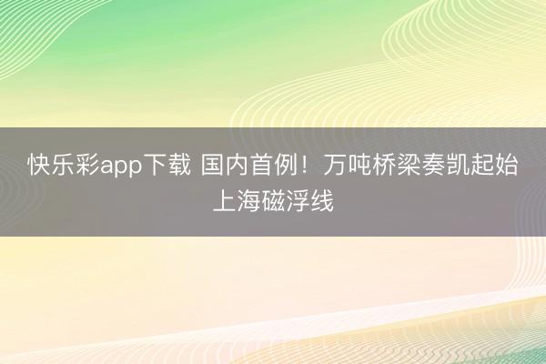 快乐彩app下载 国内首例!万吨桥梁奏凯起始上海磁浮线
