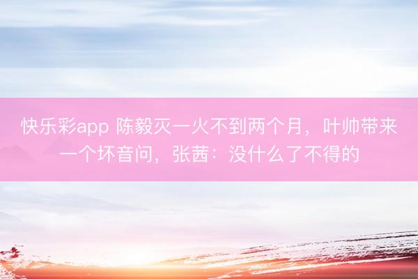 快乐彩app 陈毅灭一火不到两个月，叶帅带来一个坏音问，张茜：没什么了不得的
