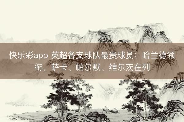 快乐彩app 英超各支球队最贵球员:哈兰德领衔,萨卡、帕尔默、维尔茨在列