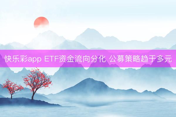 快乐彩app ETF资金流向分化 公募策略趋于多元