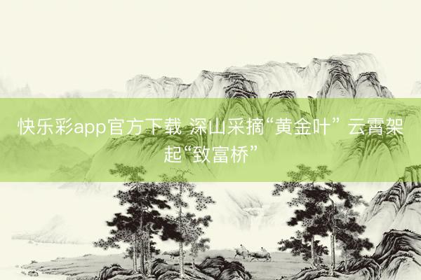 快乐彩app官方下载 深山采摘“黄金叶” 云霄架起“致富桥”