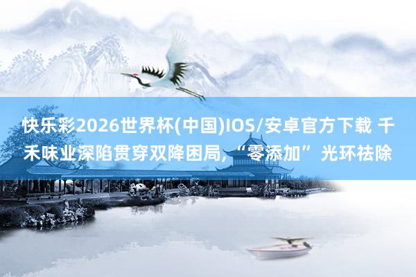 快乐彩2026世界杯(中国)IOS/安卓官方下载 千禾味业深陷贯穿双降困局， “零添加” 光环祛除