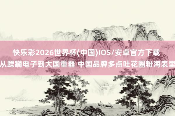 快乐彩2026世界杯(中国)IOS/安卓官方下载 从蹂躏电子到大国重器 中国品牌多点吐花圈粉海表里