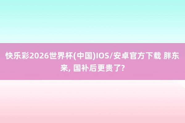 快乐彩2026世界杯(中国)IOS/安卓官方下载 胖东来, 国补后更贵了?