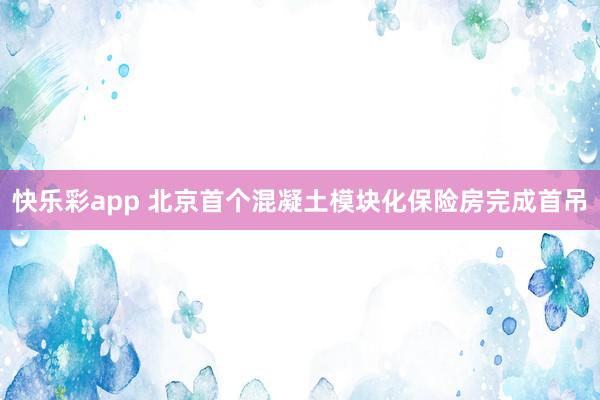 快乐彩app 北京首个混凝土模块化保险房完成首吊