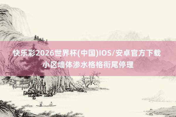 快乐彩2026世界杯(中国)IOS/安卓官方下载 小区墙体渗水格格衔尾停理