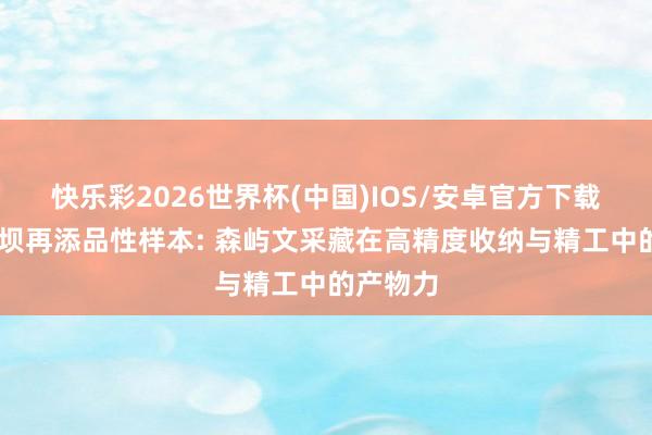 快乐彩2026世界杯(中国)IOS/安卓官方下载 向阳东坝再添品性样本: 森屿文采藏在高精度收纳与精工中的产物力