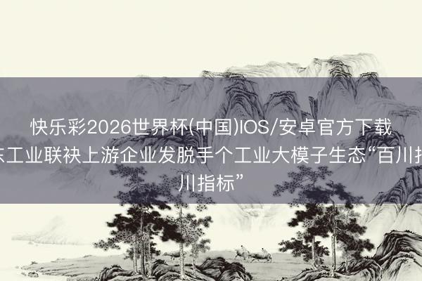 快乐彩2026世界杯(中国)IOS/安卓官方下载 京东工业联袂上游企业发脱手个工业大模子生态“百川指标”