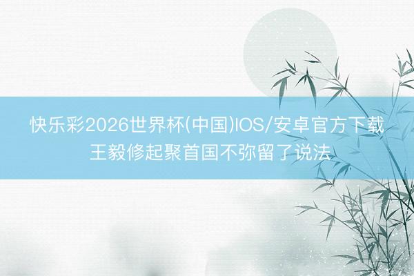 快乐彩2026世界杯(中国)IOS/安卓官方下载 王毅修起聚首国不弥留了说法